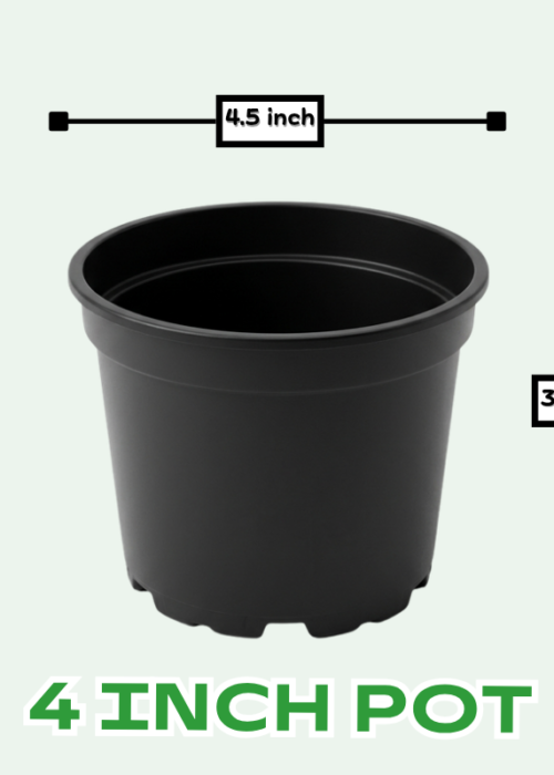 Buy Plastic Pots for Plants , 4 inch, 8 inch, 10 inch, 12 inch, 21 inch