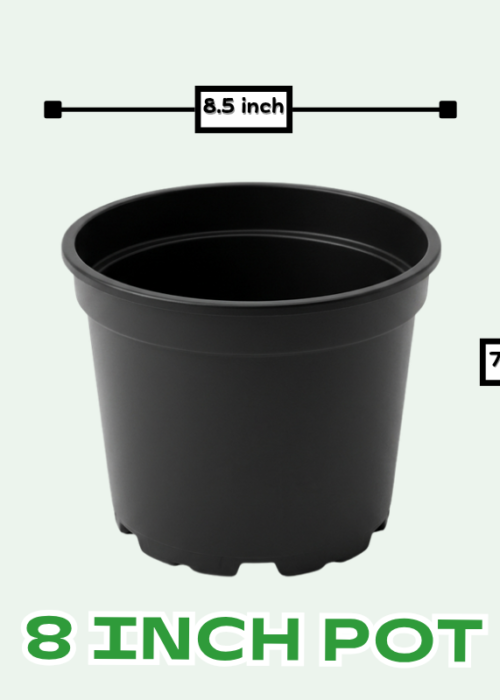 8 inch kiyari plastic pots for plants