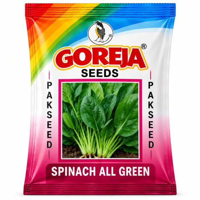 Spinach   پالک Green Vegetable Seeds packet for Kitchen gardening