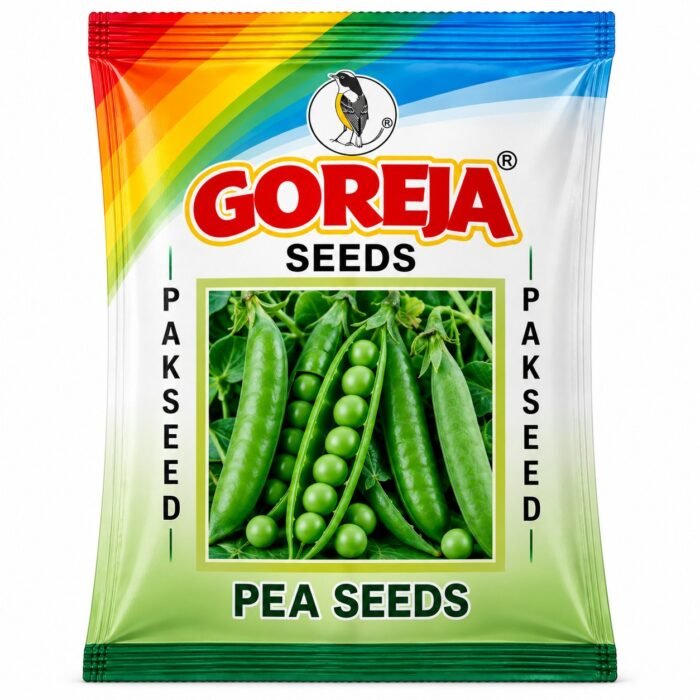 Pea مٹر Seeds packet for Kitchen gardening