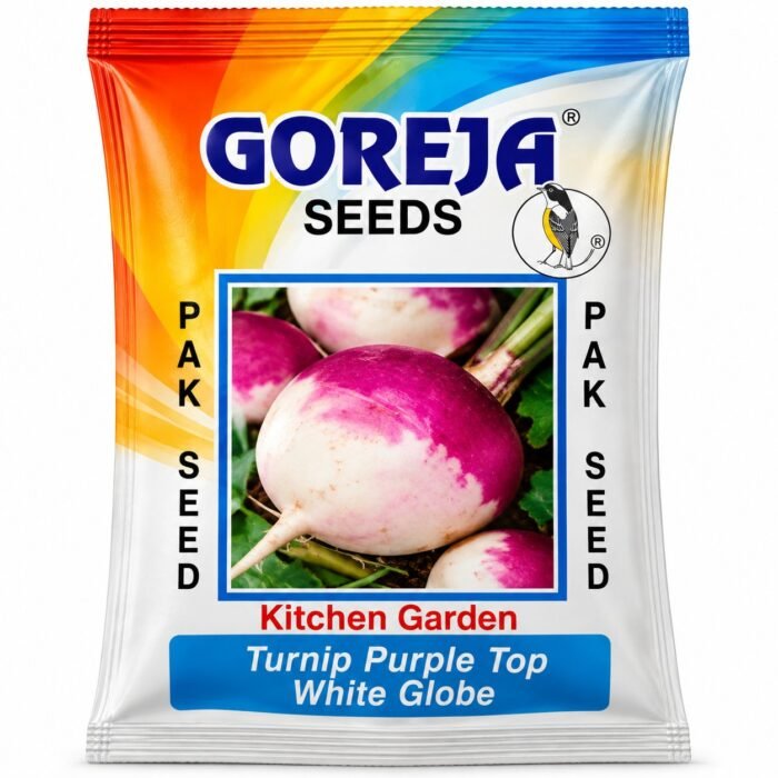 Turnip شلجم Seeds packet for Kitchen gardening